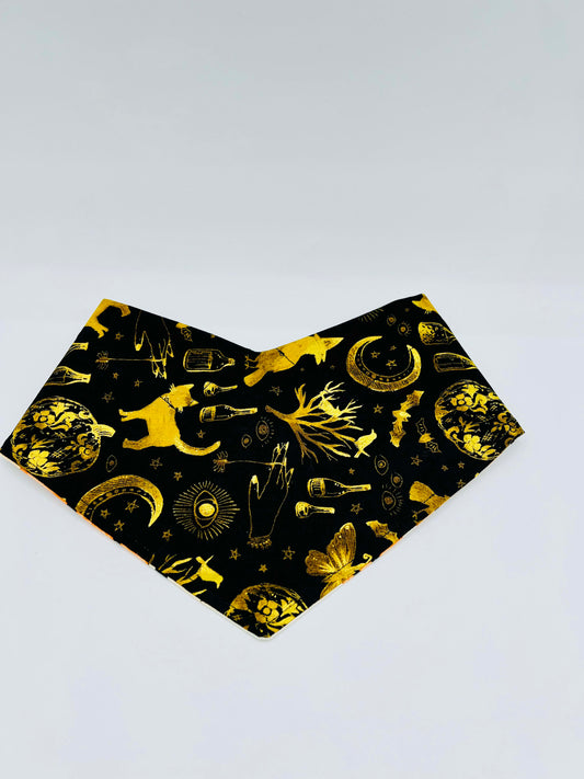 Witchy Gold on Black Halloween Dog Bandana