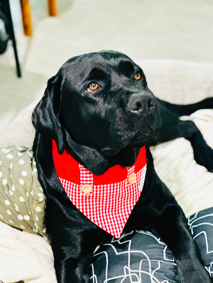 Red Plaid Bandana