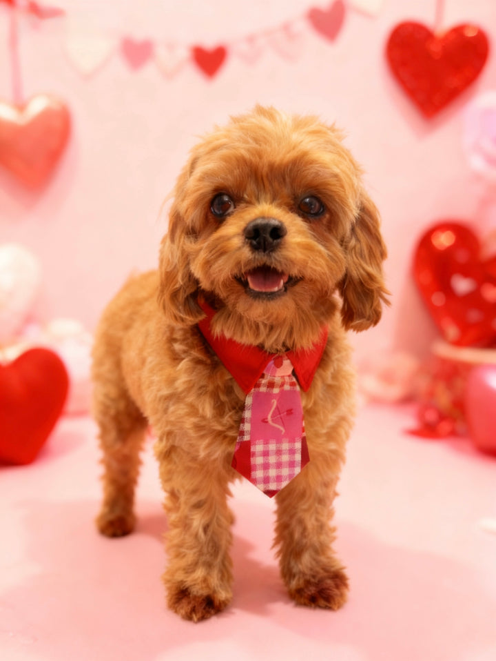 Valentine's Necktie for Boys