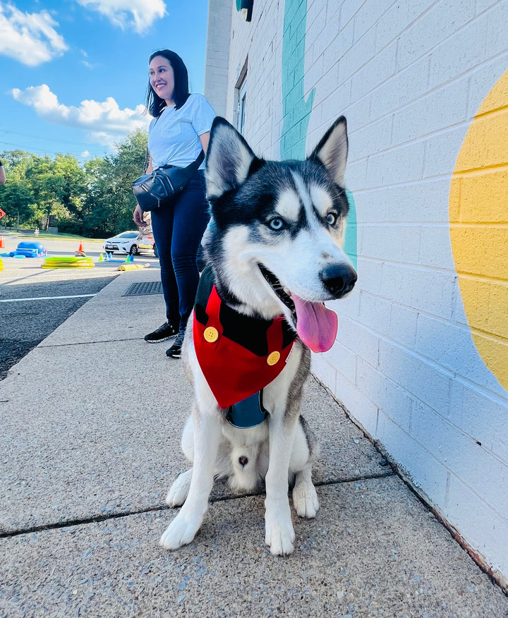Mickey Mouse Overall  Dog Bandana - A Stylish Choice for Every Pup