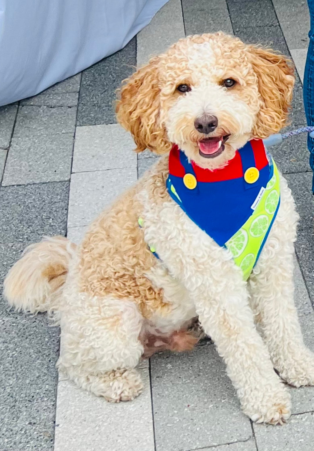 Super Mario Overall Dog Bandana
