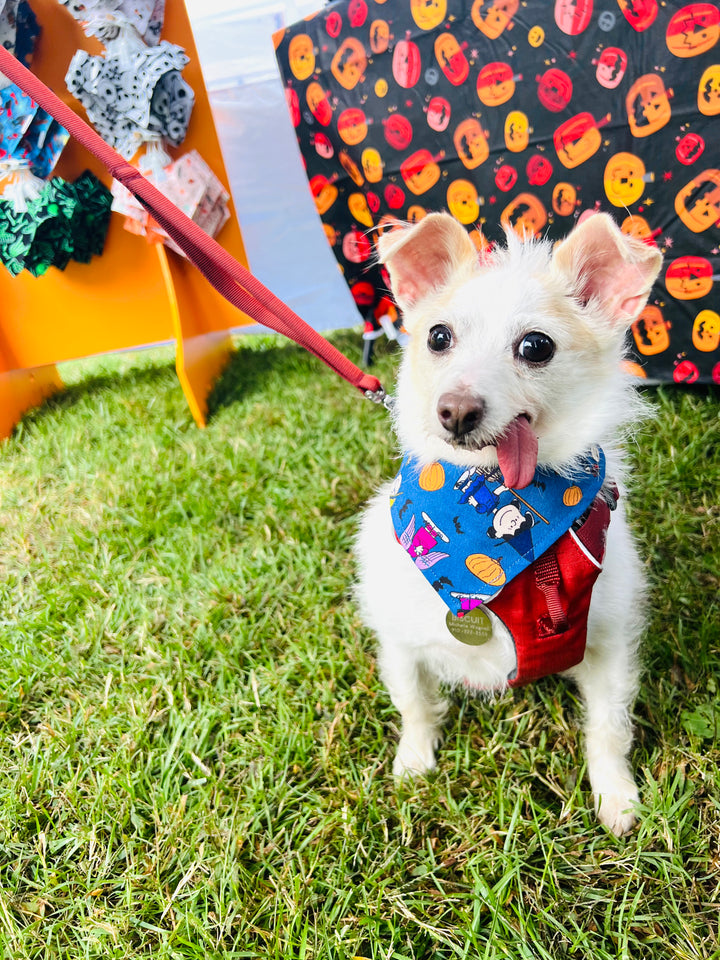 Snoopy Great Pumpkin Charlie Halloween Dog Bandana