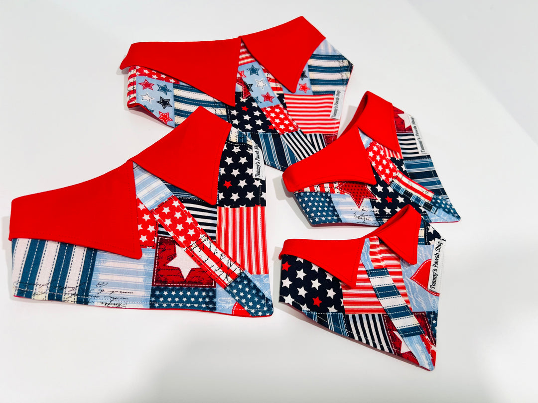 Boy Pup-triotic Bandana