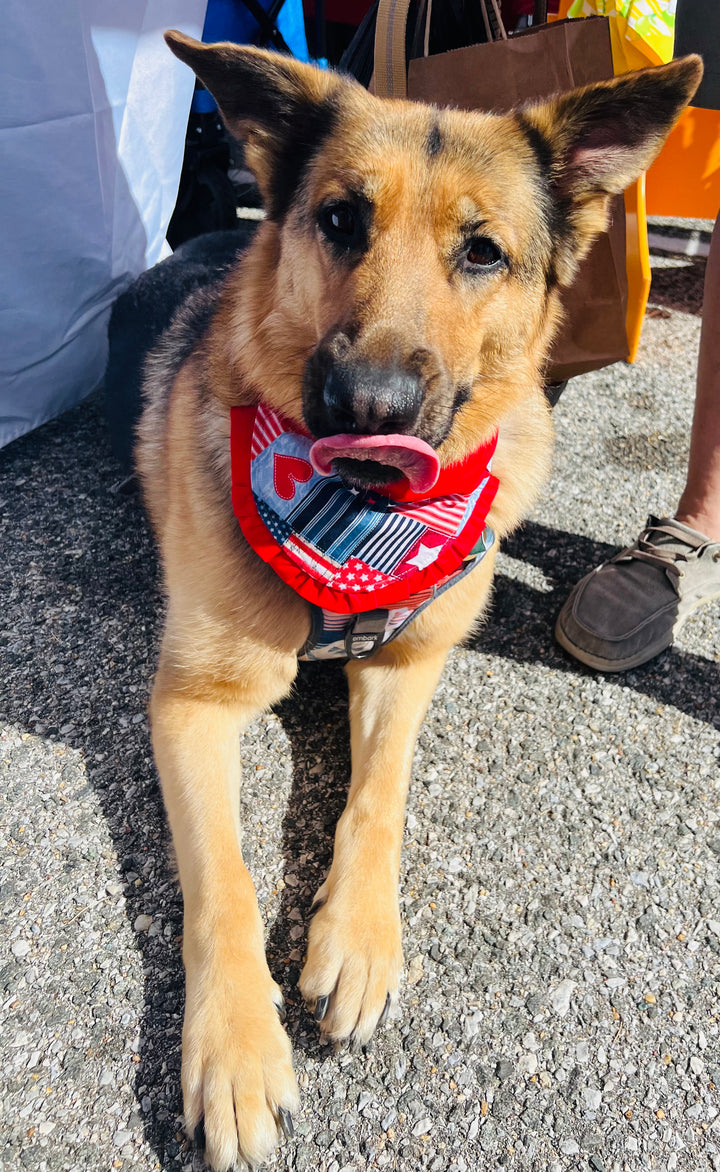 Girls Pup-triotic Girls Bandanas