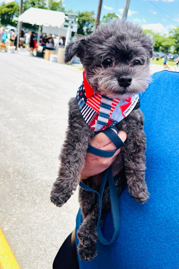 Boy Pup-triotic Bandana