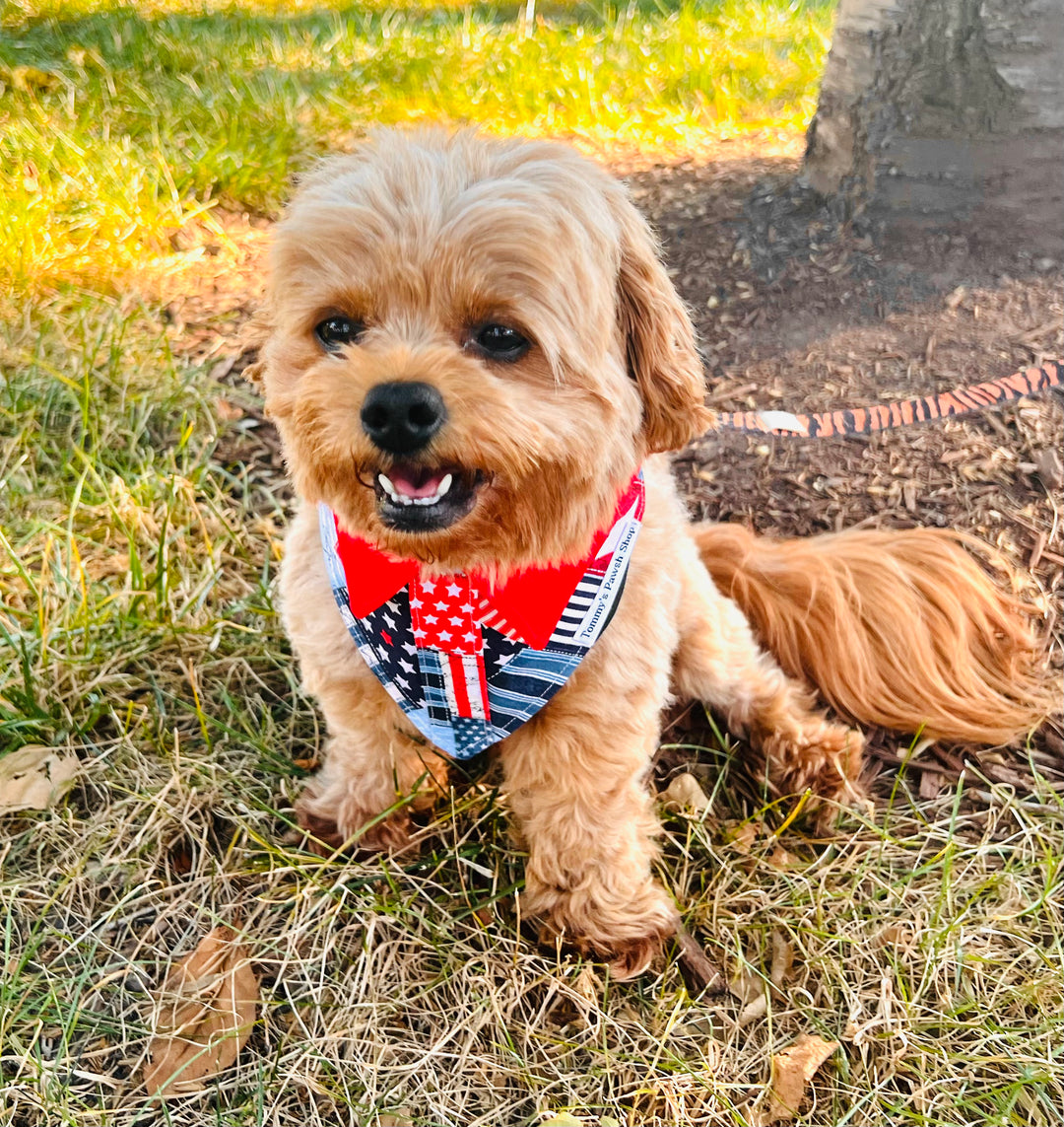 Boy Pup-triotic Bandana