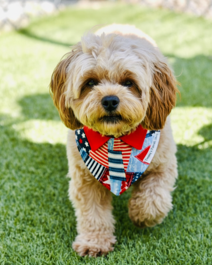 Dog Wearing Patriotic Bandana - Portrait