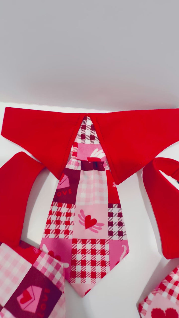 Valentine's Necktie for Boys