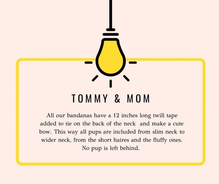 Smore's Fall Dog Bandana